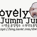 마도로스횟집돌고래조개구이회센타 이미지