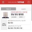 카앤피플양산 이미지