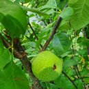 선리치골프클럽 이미지