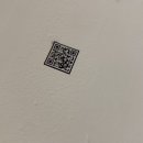 담순