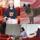 가득家가