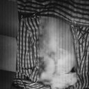 엑슬루 동물병원 이미지