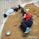 숲이있는 어린이집 이미지