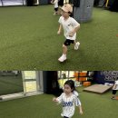햇살반 '스포츠' 프로젝트 - 대구 북구 리틀 야구단에 견학을 다녀왔어요 ⚾⚾ -1 이미지