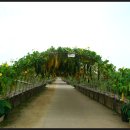 하늘공원 화장실 이미지