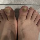 모두 | 바르지오 후기 모두크림 원스 내돈내산