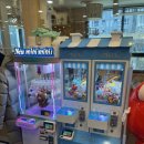 좋은빌딩((유)좋은사람들) | [전주-효자동]아이와 시간 보내기 좋은 고양이 카페 아이캣유