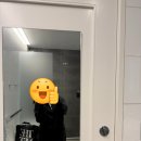 1000 | 뉴욕-하네다 JAL 신형 A350-1000 비즈니스 후기