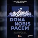 Dona Nobis Pacem (도나 노비스 빠쳄 : 우리에게 평화를) 이미지