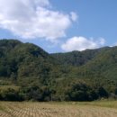 영서로4 이미지