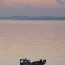 들꽃이 있는 바다 이미지