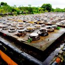 이화동산 이미지