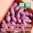 수산 마켓 이미지