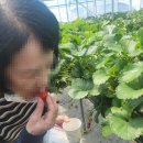 송영농장 이미지