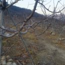 태형농장 이미지