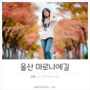 마로니에어린이공원 화장실 | 울산 마로니에길 체육공원 가을 단풍여행