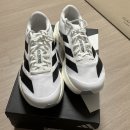아디포스랩 | 아디다스 아디제로 evo sl 👟후기 | 사이즈 팁 | 초보 러닝화 추천