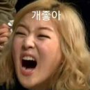 쏨 이미지