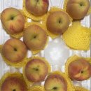 미당농장 이미지