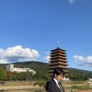 (유)국제자원환경 | 신입 PCO의 2025 APEC