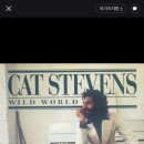 [팝송으로 배우는 영어] Wild World - Cat Stevens 이미지