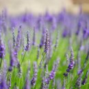 민 행정사 이미지