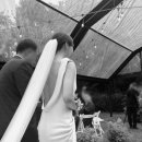 고우리축사 이미지