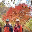 대열산호회 11월 우면산 산행결과 이미지