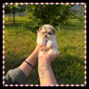 동탄순환대로14길 이미지