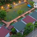 웰컴독 이미지