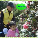 하나둘셋어린이집 이미지