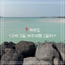 바당봉봉 | 제주도 가족여행 1일차ㅣ도도리 고기 국수, 오설록, 협재해수욕장, 흑돼지 바당돈, bhc 동글락 바삭 치킨