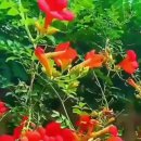 인문학으로 세상보기＞ <b>고전</b>은 아이디어의 수원지...