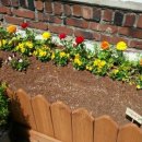 새날공부방 이미지