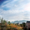 양지하우스 이미지