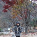 계명산자연휴양림 이미지