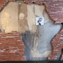 어메이징 아프리카 이미지