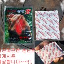 [주말야구주간경기-송추고대구장]1/18(토) 11시30분 新신평야 J vs 新신평야 T 친선경기 있습니다. 이미지