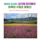 미륵당 | 영광군 내기제 핑크뮬리와 미륵당 구절초 꽃동산
