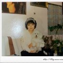 미장원 1982 이미지
