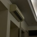 [베트남여행] 나트랑여행 3일차 (담시장/도로시카페/혼땀리조트/목식당/오케이프루츠)