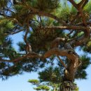 청풍호반낚시터 이미지