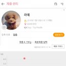 더펫동물병원 이미지