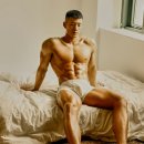 미녀와 야수짐 이미지