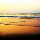 바닷가에서 이미지