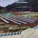 부동산밴드공인중개사사무소 이미지