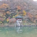 강천가로수길 | 충북 청주시 "백석정"(충북 문화재 자료 제82호) 단풍 드라이브하기.(상당산성주소,추성리메밀밭주소...