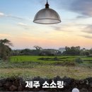 소소링제주 동쪽 가성비 감성 숙소 10만원대 독채 펜션