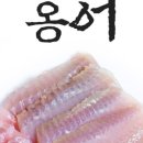 흑산도수산 네이버블로그