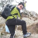 늑대와 여우 이미지